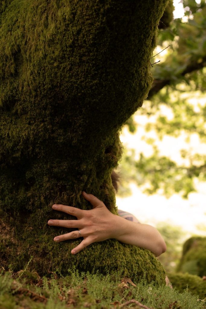 A person gently hugging a moss-covered tree trunk in a lush natural setting, symbolizing a connection to nature.